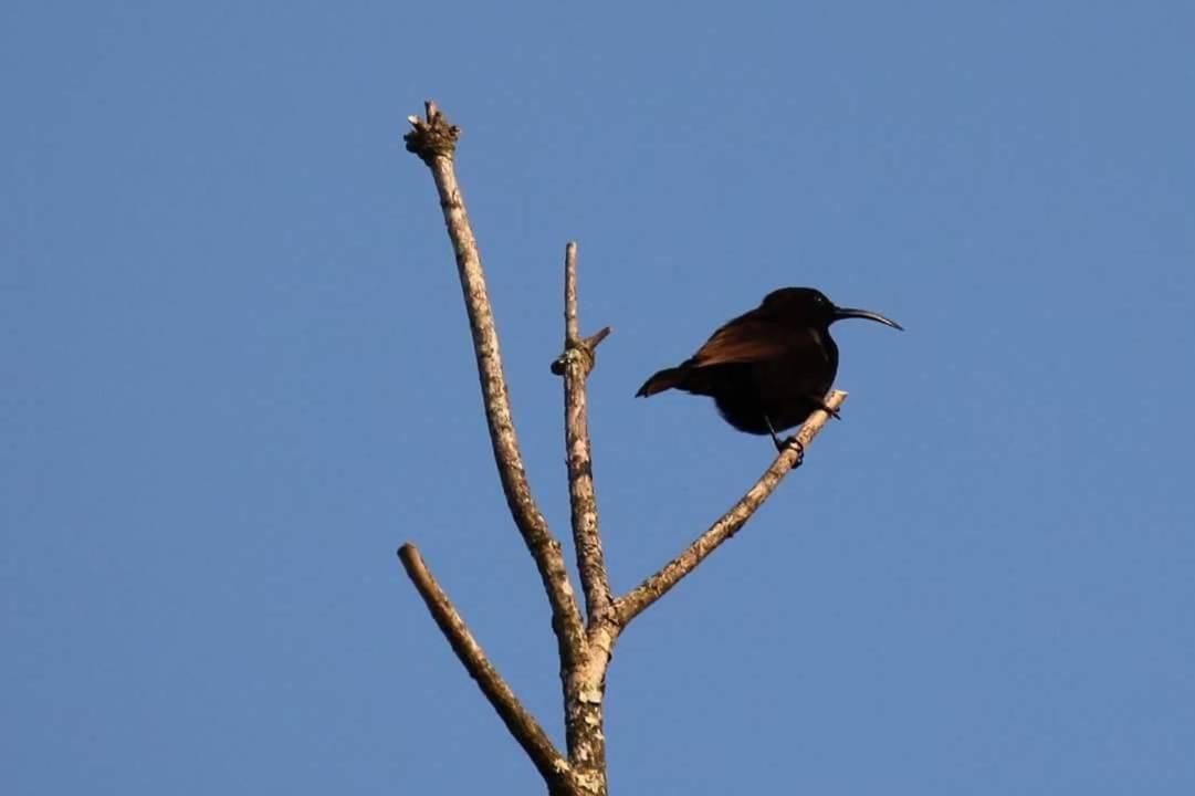 Bed and Breakfast Fish Eagle Manor Ист-Лондон Экстерьер фото